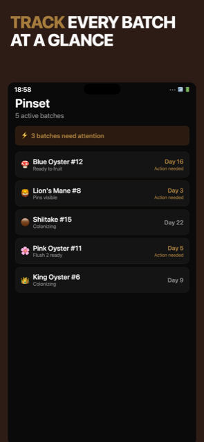 Track every batch at a glance